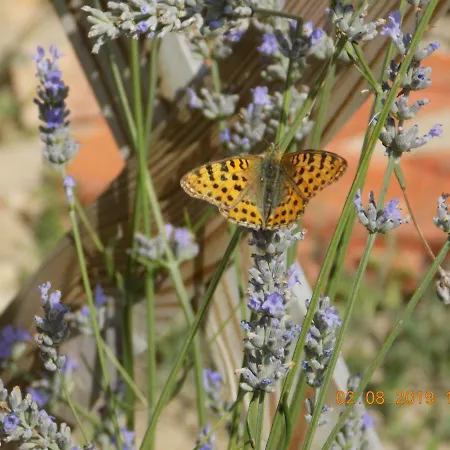 Holiday home Aux Roses Vrolle